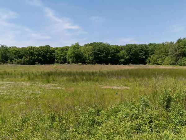 V/L #1 Lakeside Road, New Buffalo, MI 49117