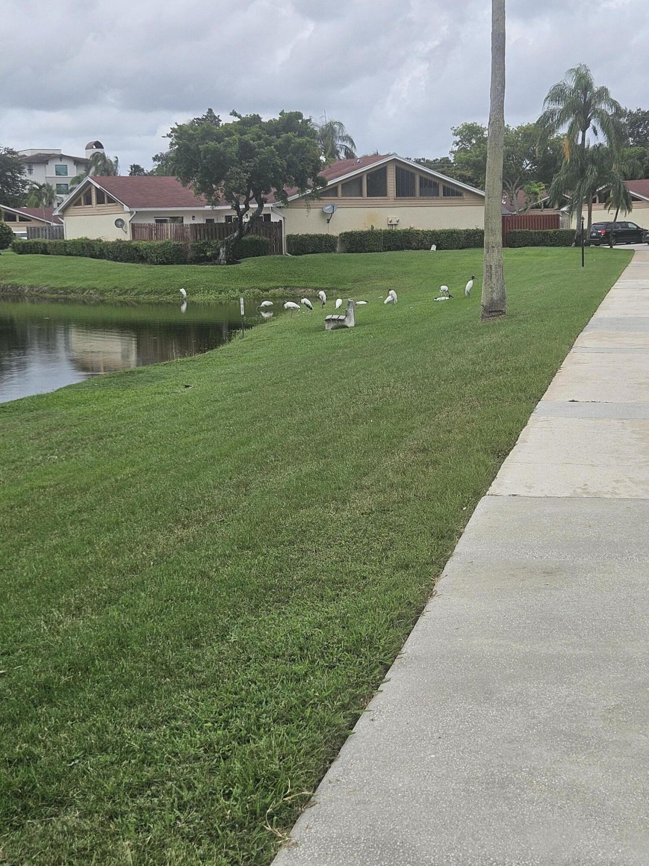 4302 Woodstock Drive, Unit B, West Palm Beach, FL 33409 Photo