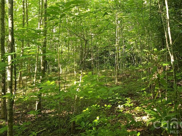 Lot# 19 Mill Creek Road , Old Fort, NC 28762