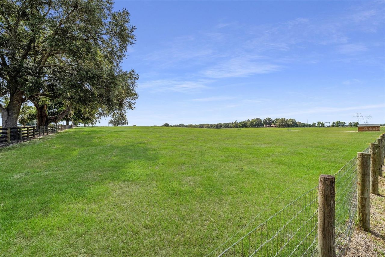 1231 NW 102nd Boulevard, Wildwood, FL 34785 Photo