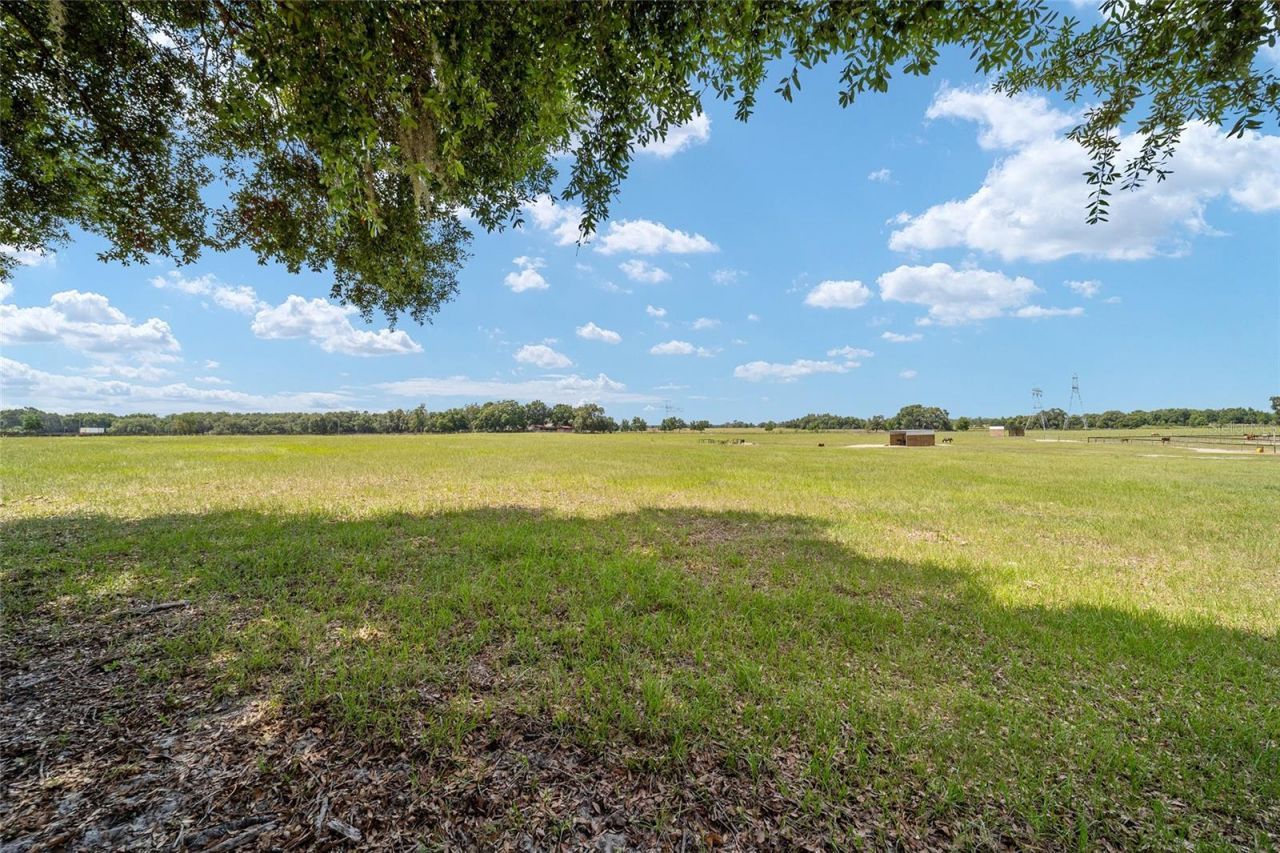 1231 NW 102nd Boulevard, Wildwood, FL 34785 Photo
