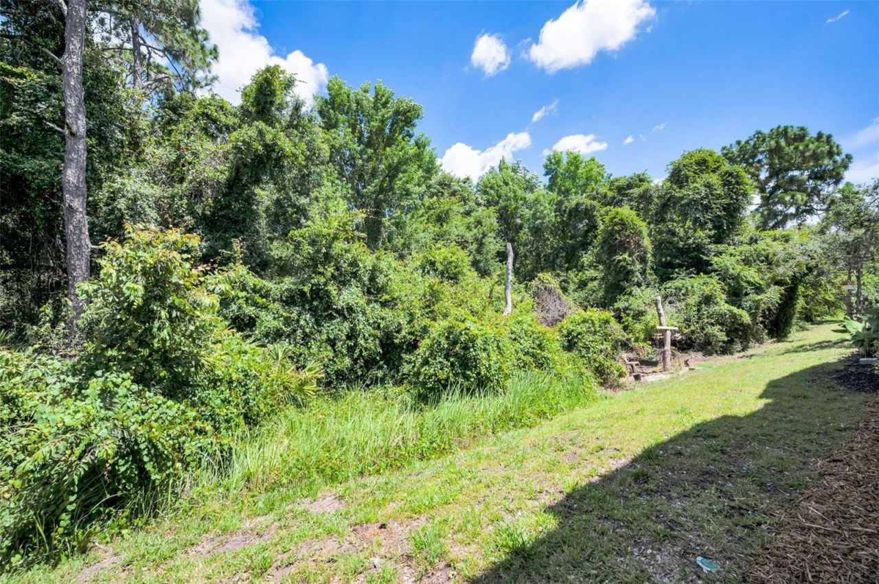 8525 Shallow Creek, New Port Richey, FL 34653 Photo