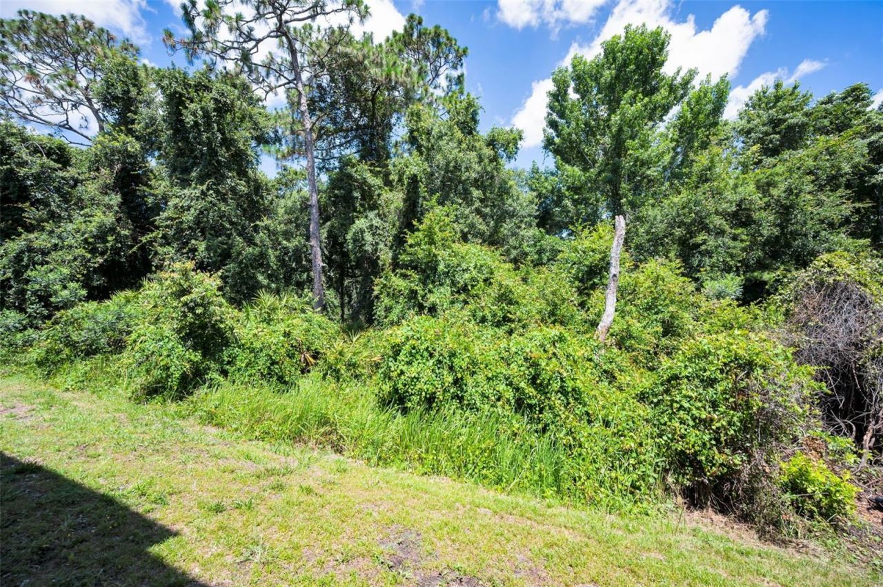 8525 Shallow Creek, New Port Richey, FL 34653 Photo
