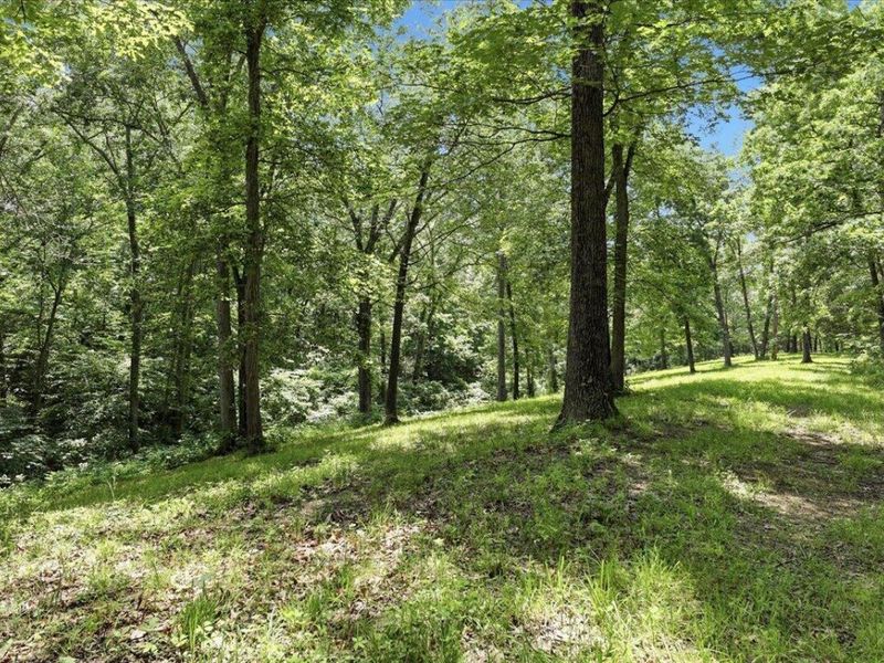590 Leaning Oak Road, Corinth, KY 41010 Photo 29