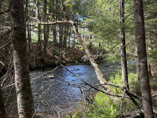 0 Grafton Turnpike Road, Canaan, NH 03741
