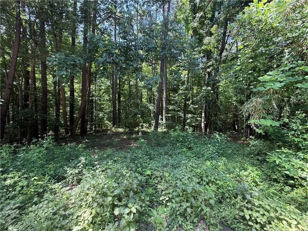 0 Heron Court , Monticello, GA 31064