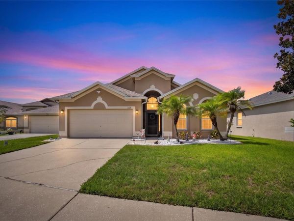 11115 SILVER DANCER DRIVE, RIVERVIEW, FL 33579
