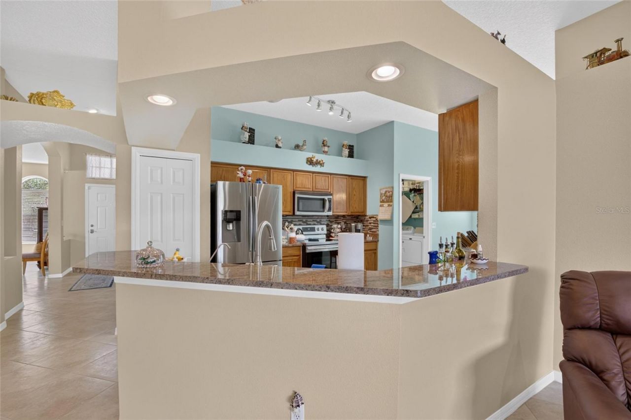 11115 Silver Dancer Drive, Riverview, FL 33579 Photo