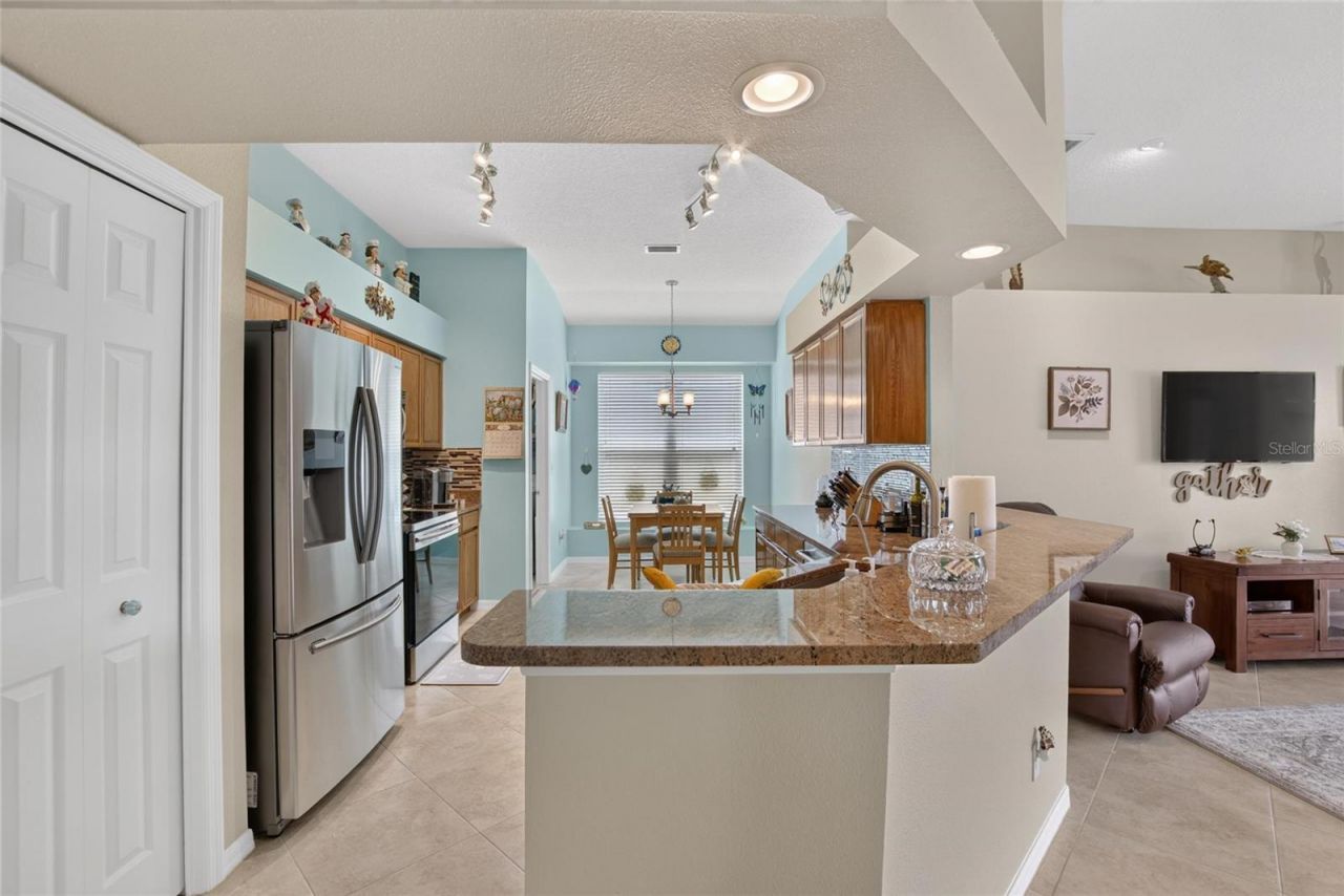 11115 Silver Dancer Drive, Riverview, FL 33579 Photo