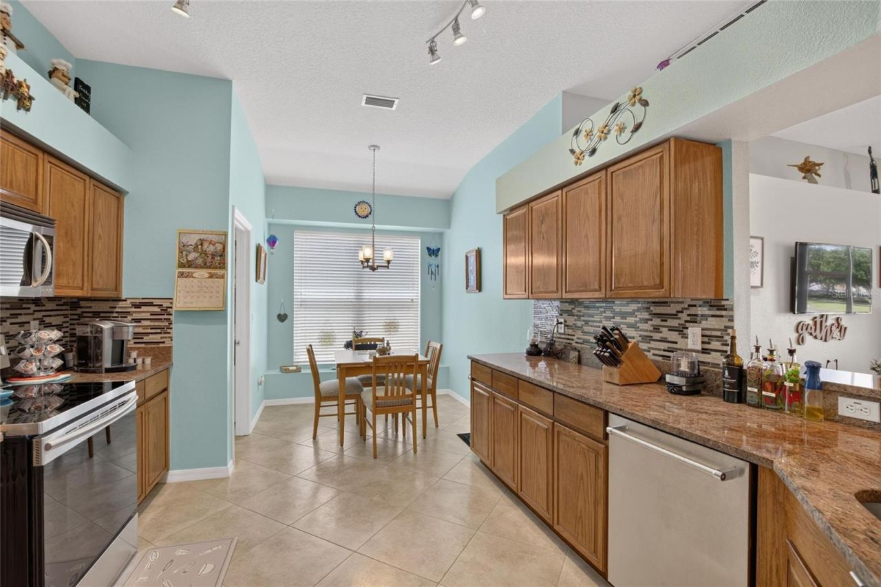 11115 Silver Dancer Drive, Riverview, FL 33579 Photo