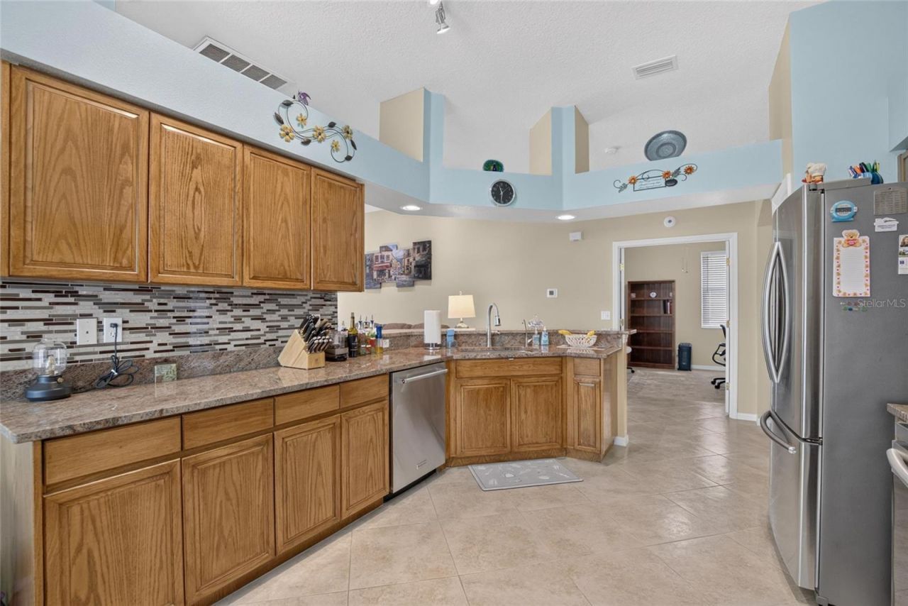 11115 Silver Dancer Drive, Riverview, FL 33579 Photo