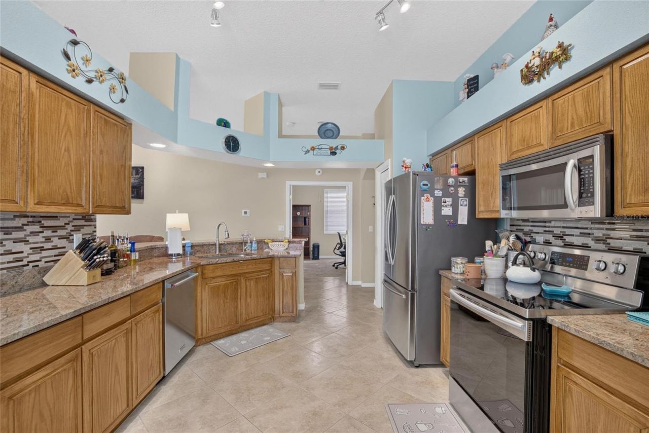 11115 Silver Dancer Drive, Riverview, FL 33579 Photo