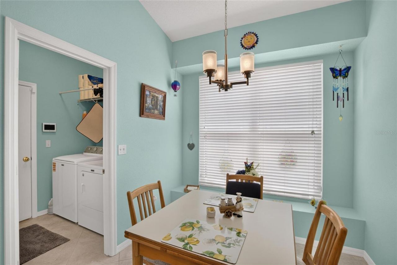 11115 Silver Dancer Drive, Riverview, FL 33579 Photo