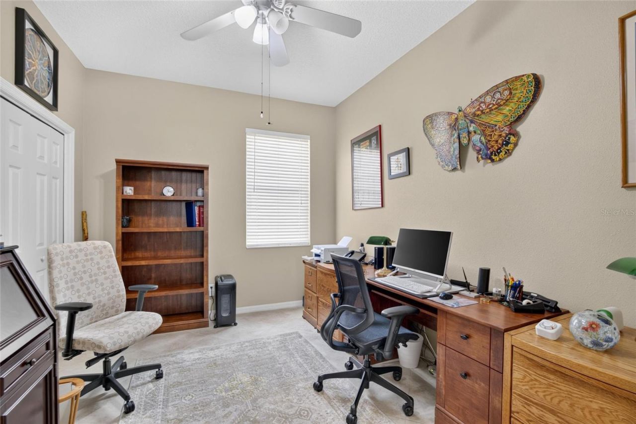 11115 Silver Dancer Drive, Riverview, FL 33579 Photo