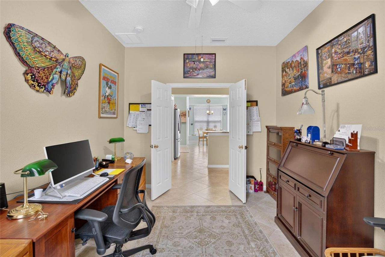 11115 Silver Dancer Drive, Riverview, FL 33579 Photo