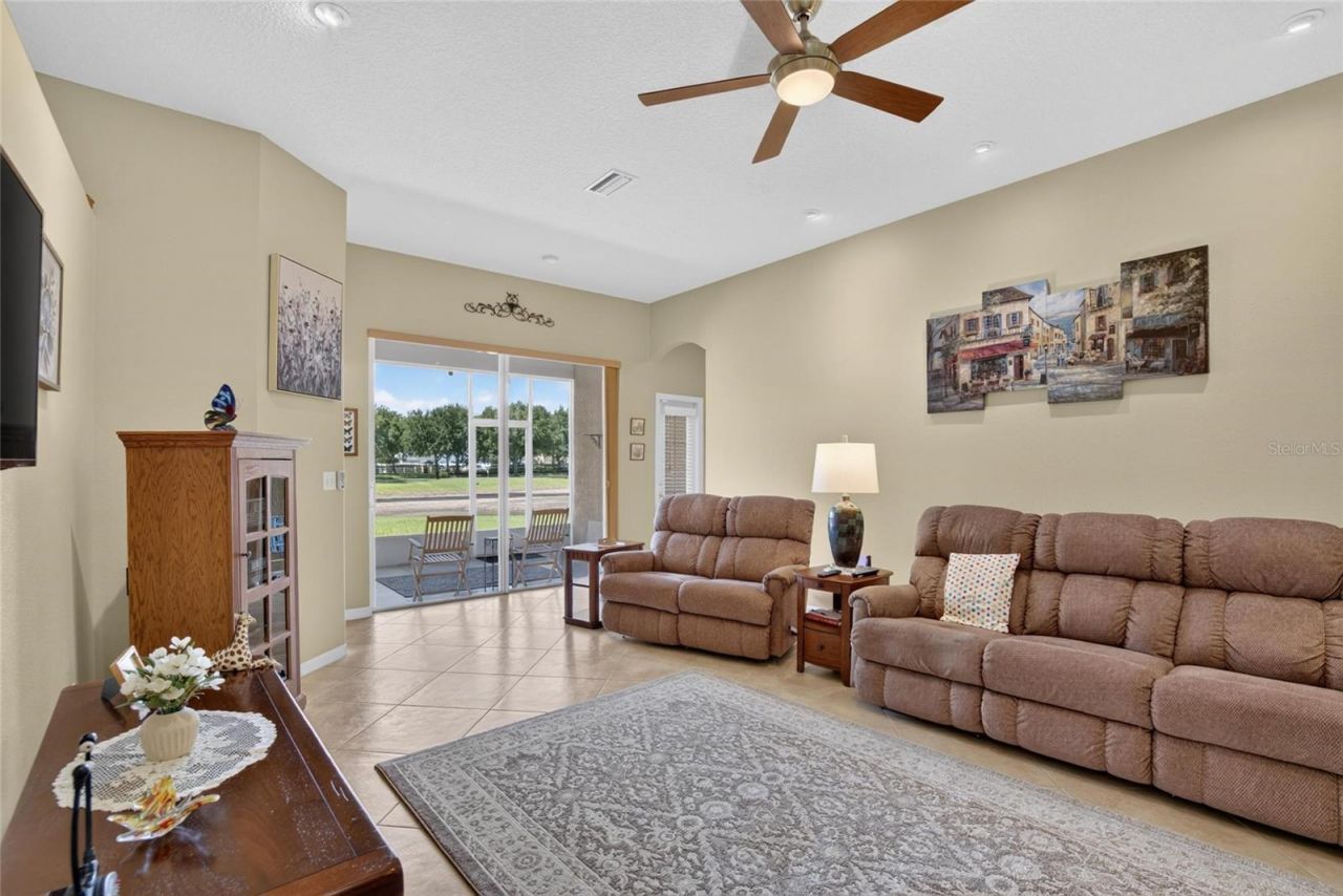 11115 Silver Dancer Drive, Riverview, FL 33579 Photo