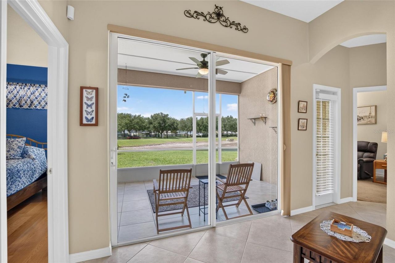 11115 Silver Dancer Drive, Riverview, FL 33579 Photo