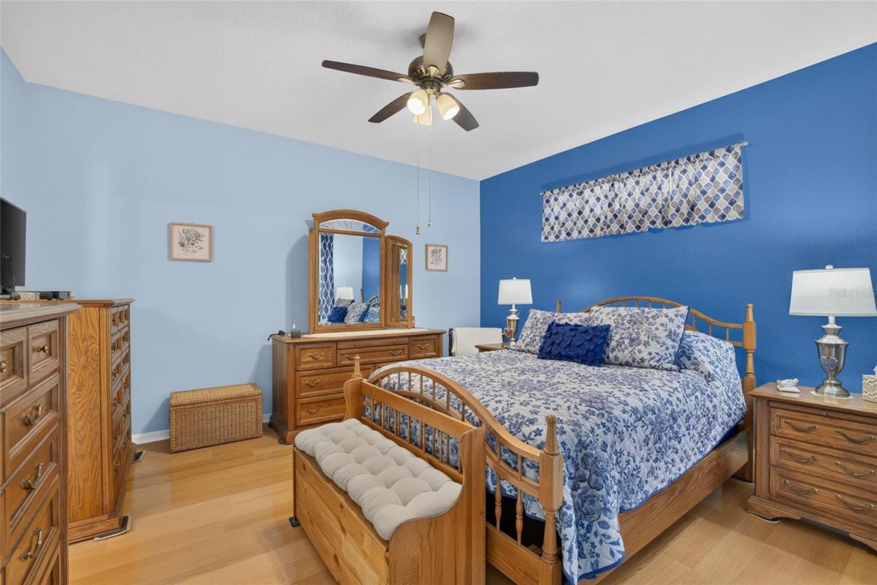 11115 Silver Dancer Drive, Riverview, FL 33579 Photo