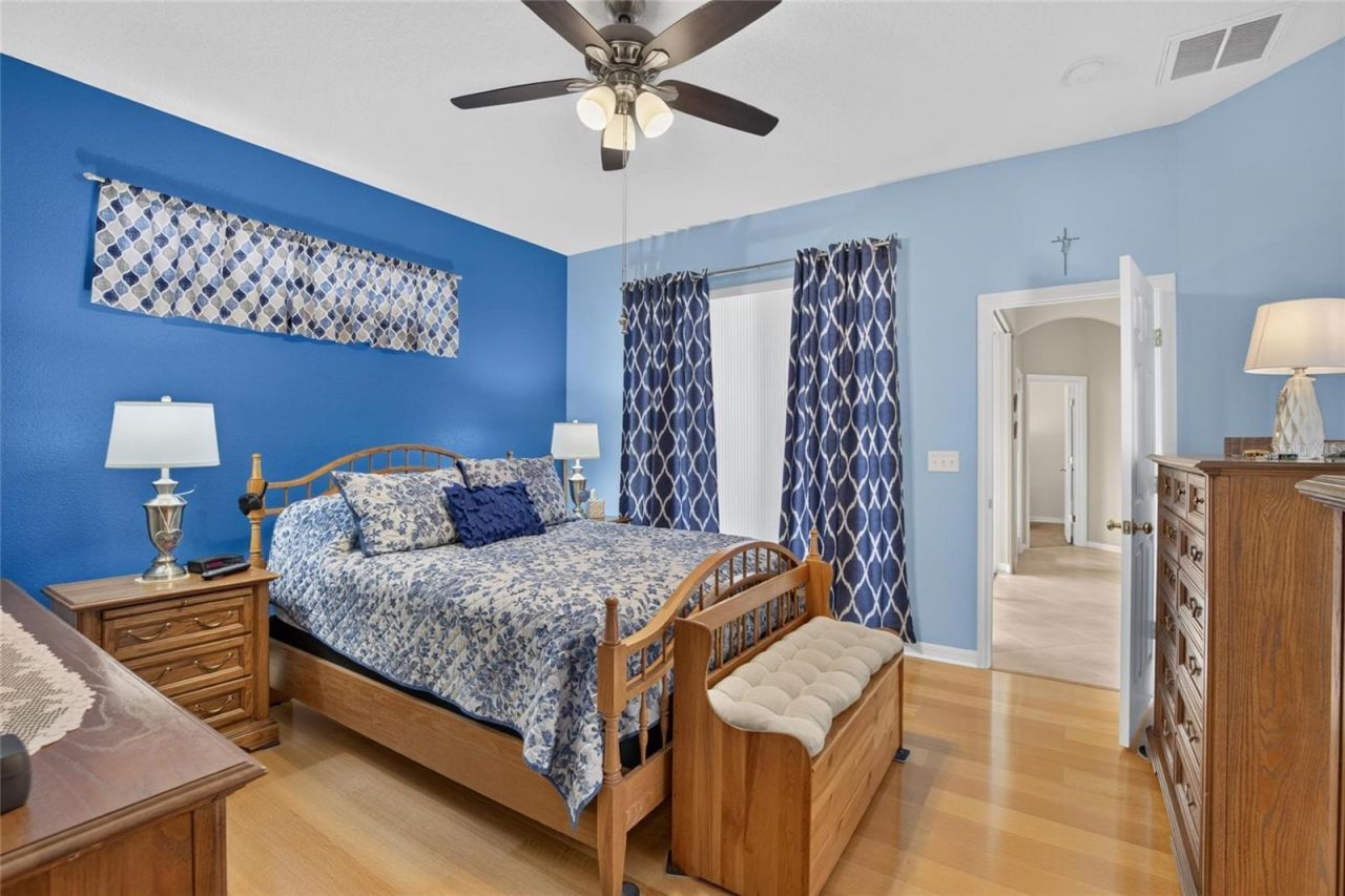 11115 Silver Dancer Drive, Riverview, FL 33579 Photo