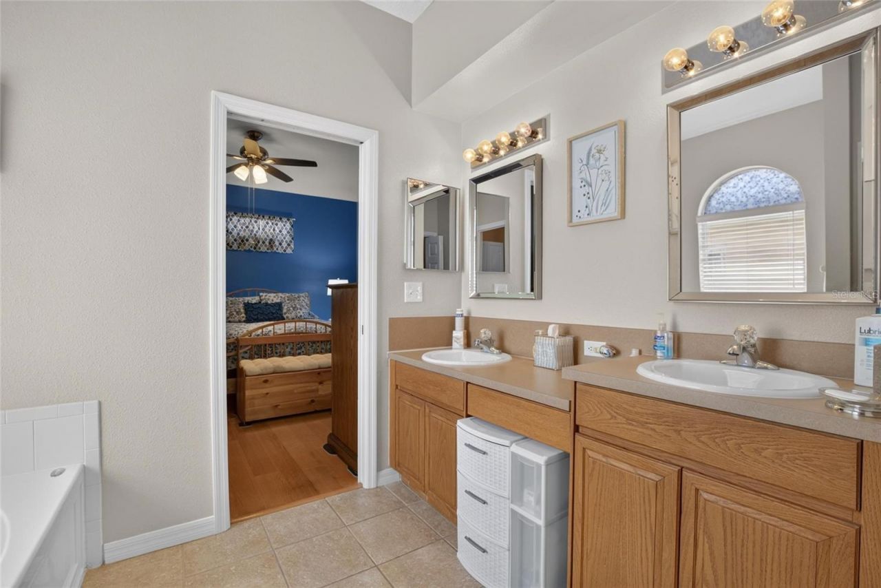11115 Silver Dancer Drive, Riverview, FL 33579 Photo