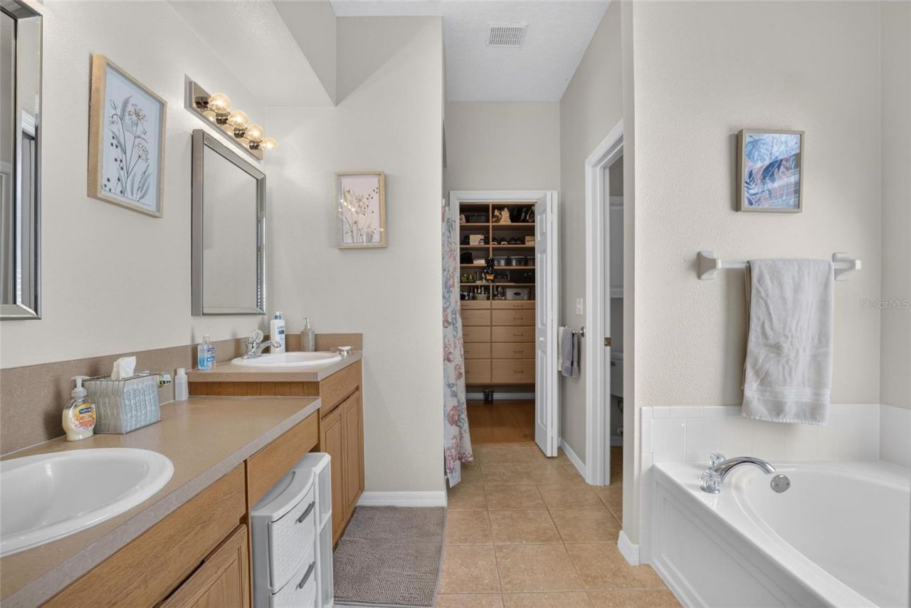 11115 Silver Dancer Drive, Riverview, FL 33579 Photo