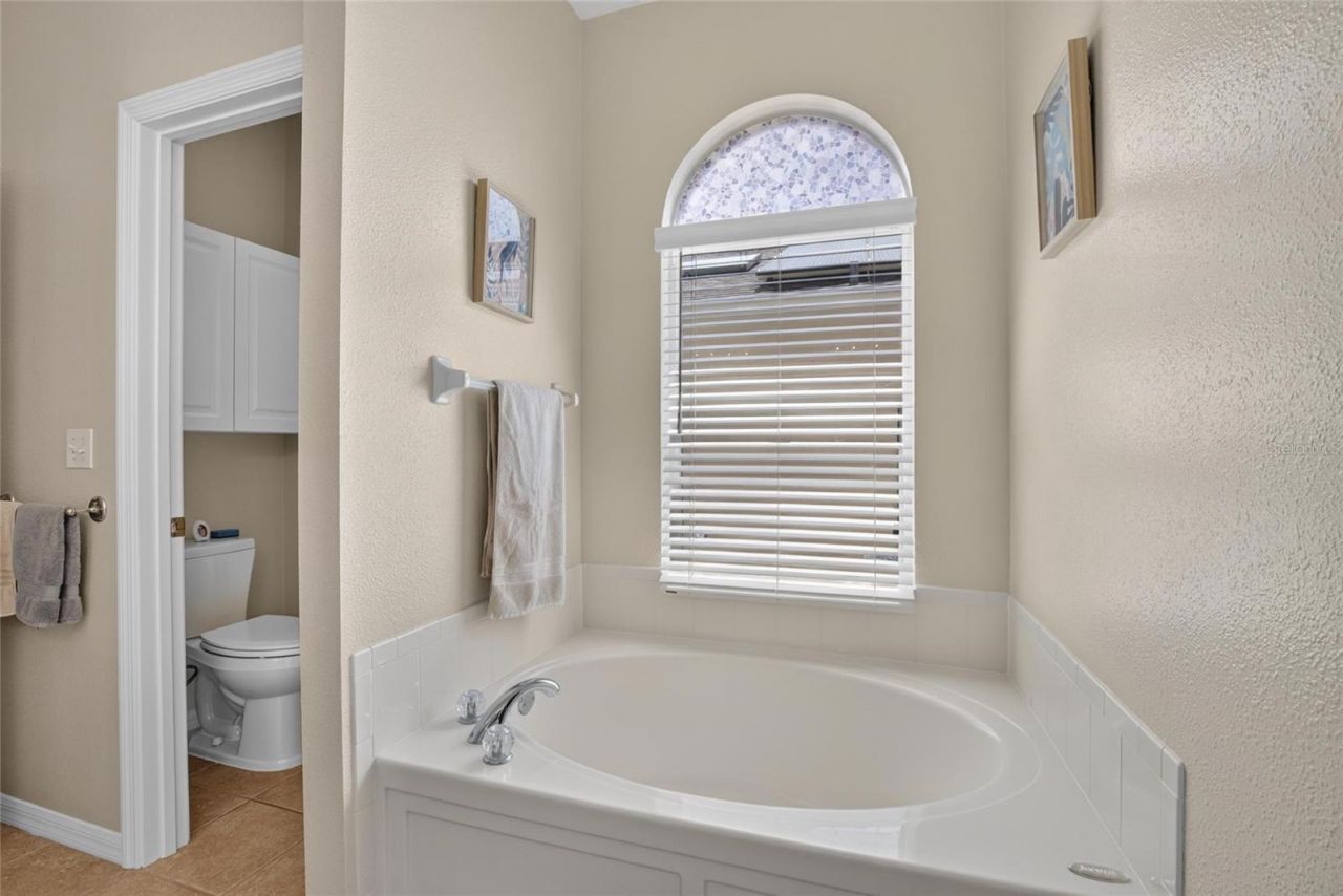 11115 Silver Dancer Drive, Riverview, FL 33579 Photo