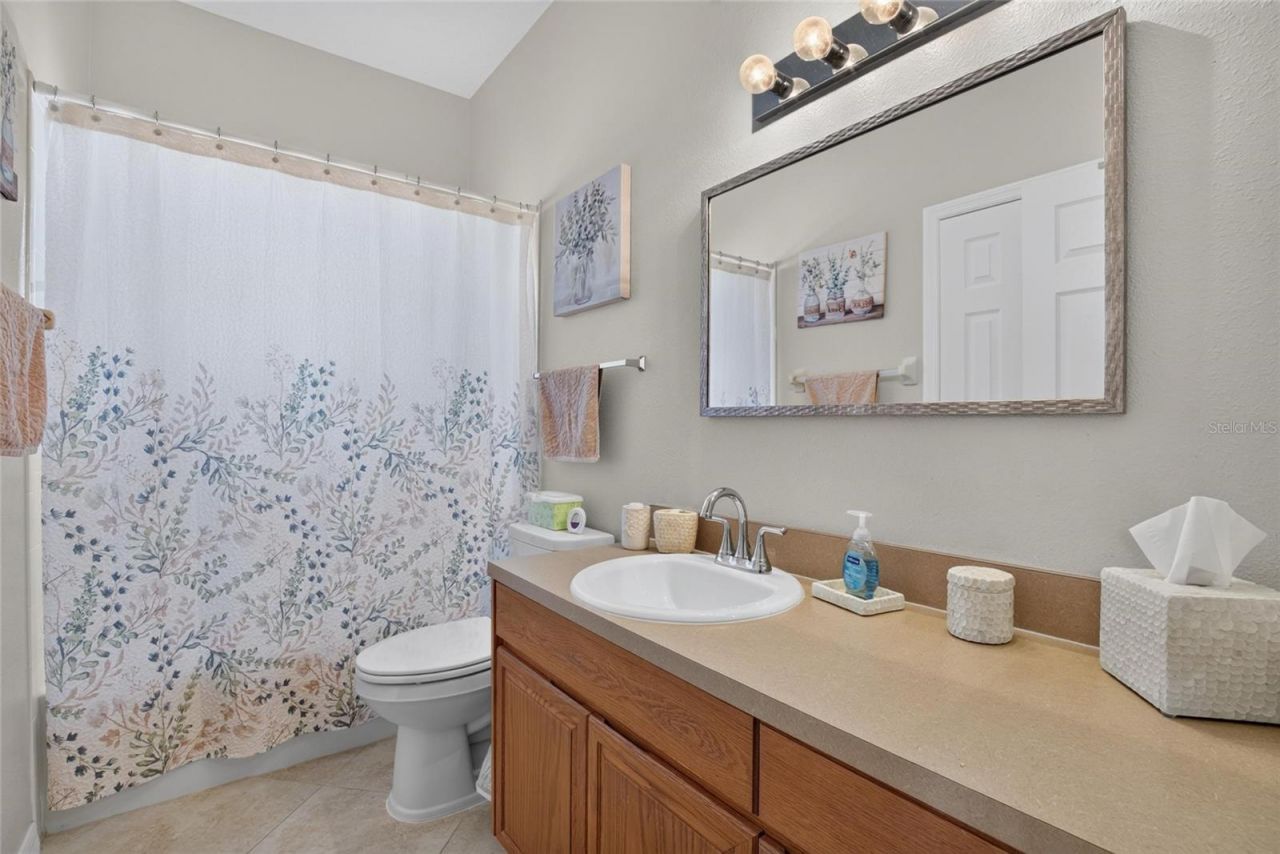 11115 Silver Dancer Drive, Riverview, FL 33579 Photo