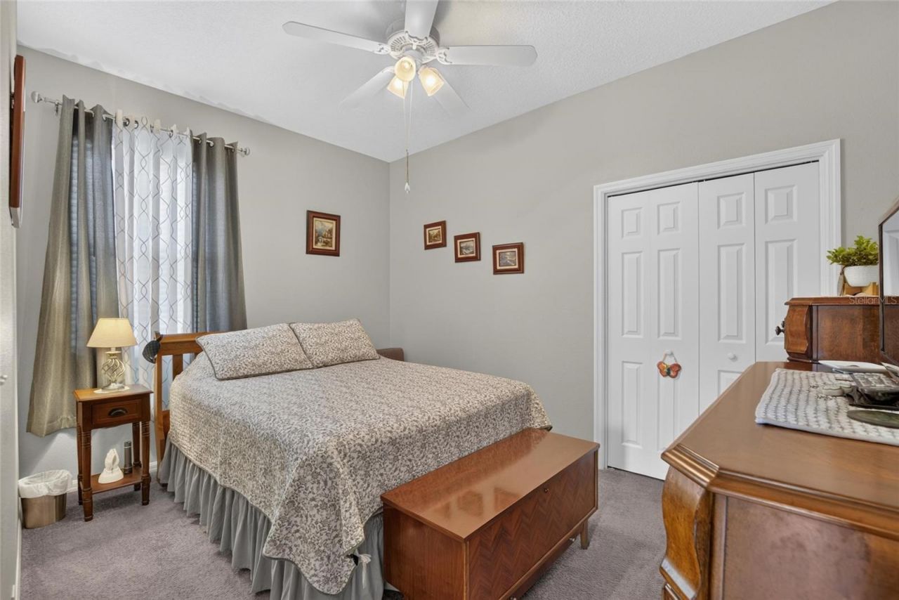 11115 Silver Dancer Drive, Riverview, FL 33579 Photo