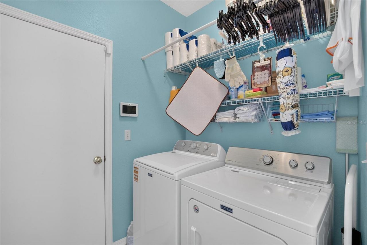 11115 Silver Dancer Drive, Riverview, FL 33579 Photo