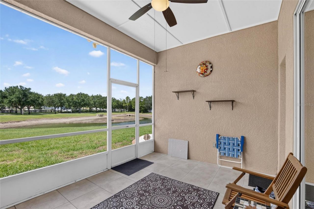11115 Silver Dancer Drive, Riverview, FL 33579 Photo