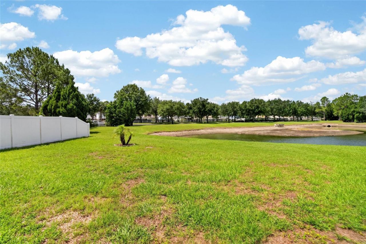 11115 Silver Dancer Drive, Riverview, FL 33579 Photo