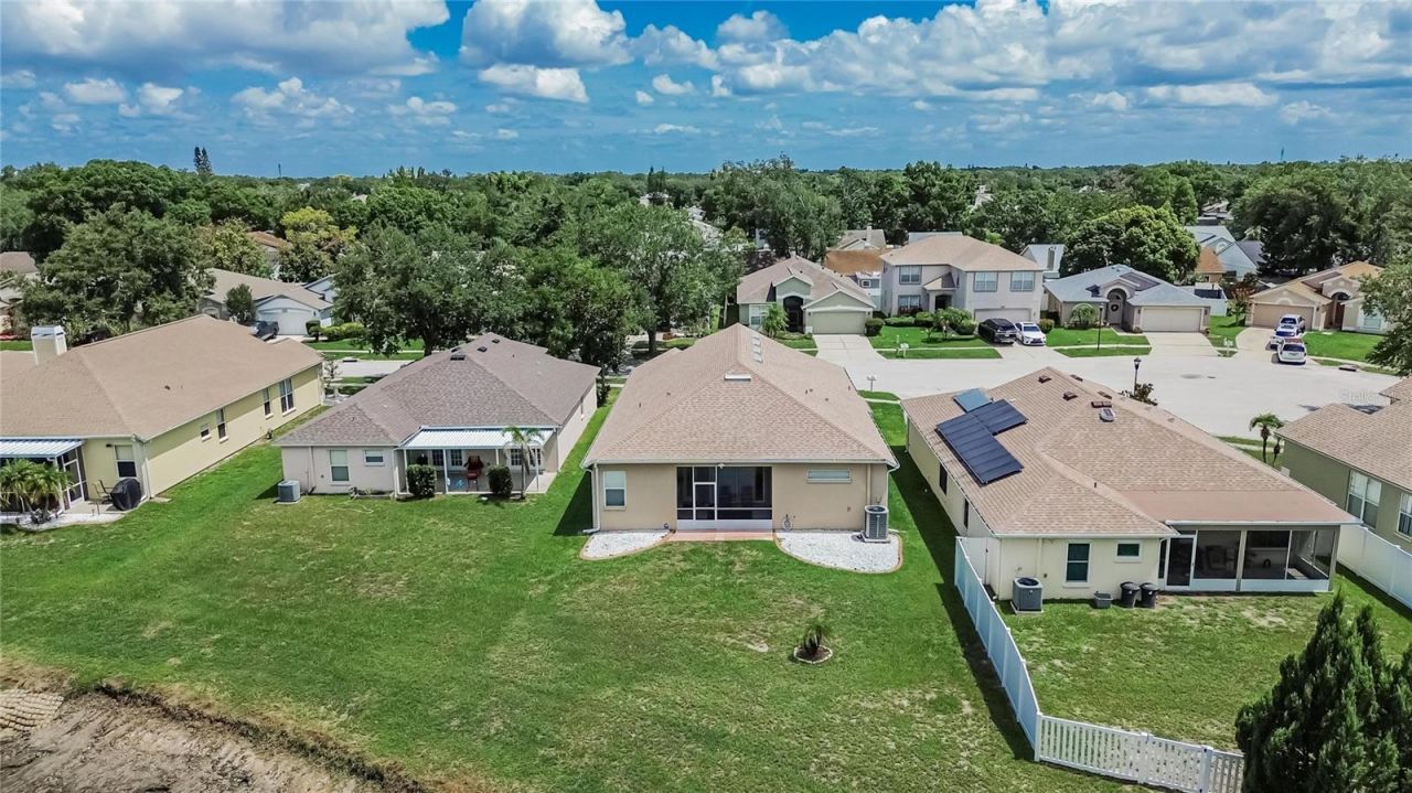 11115 Silver Dancer Drive, Riverview, FL 33579 Photo