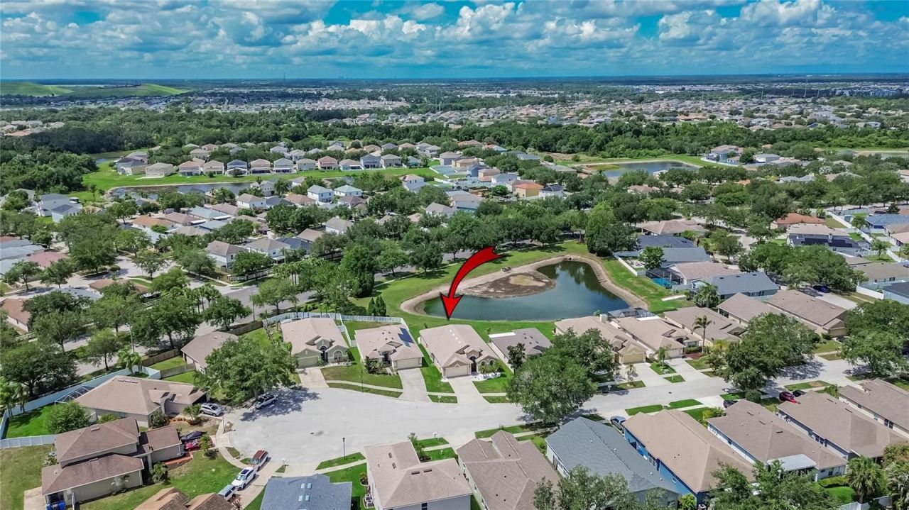 11115 Silver Dancer Drive, Riverview, FL 33579 Photo