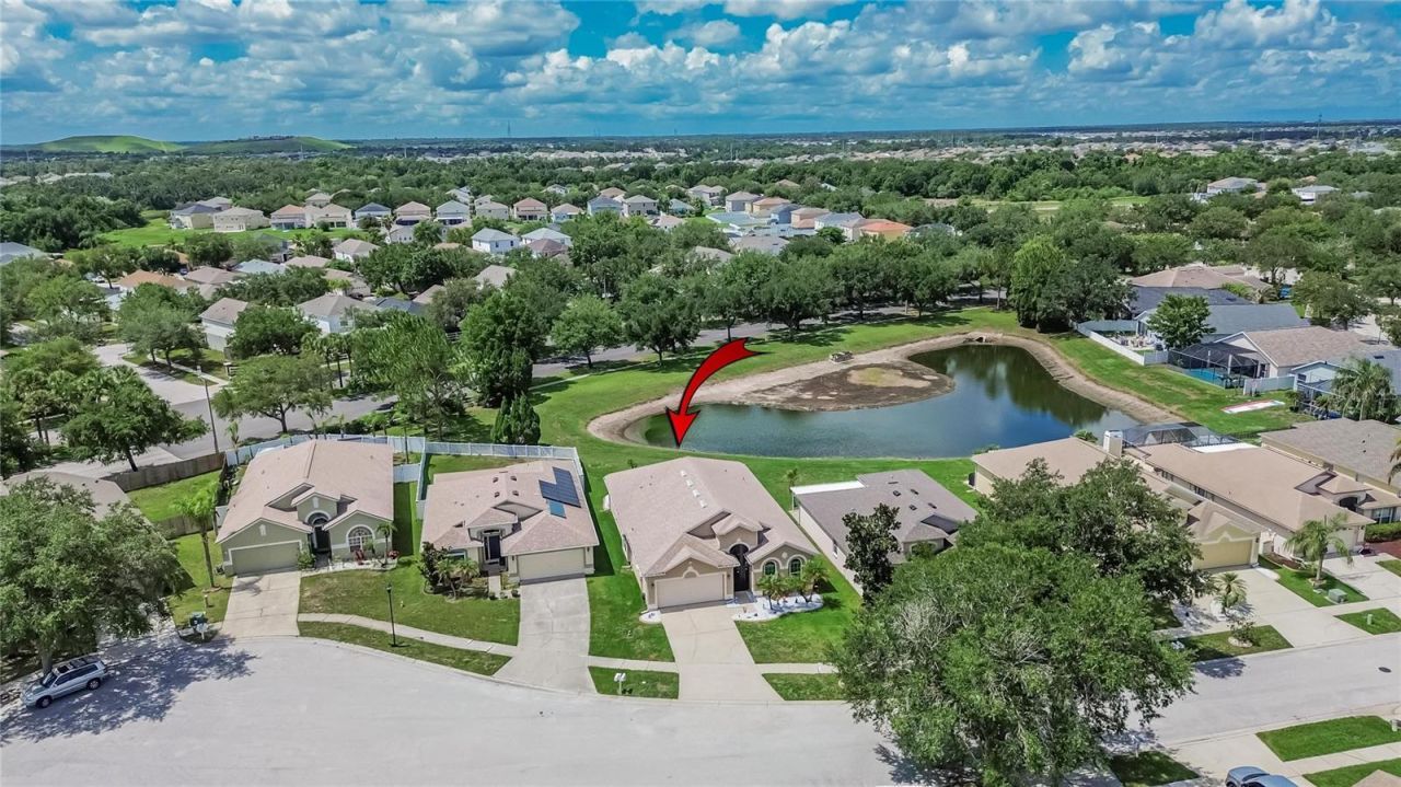 11115 Silver Dancer Drive, Riverview, FL 33579 Photo