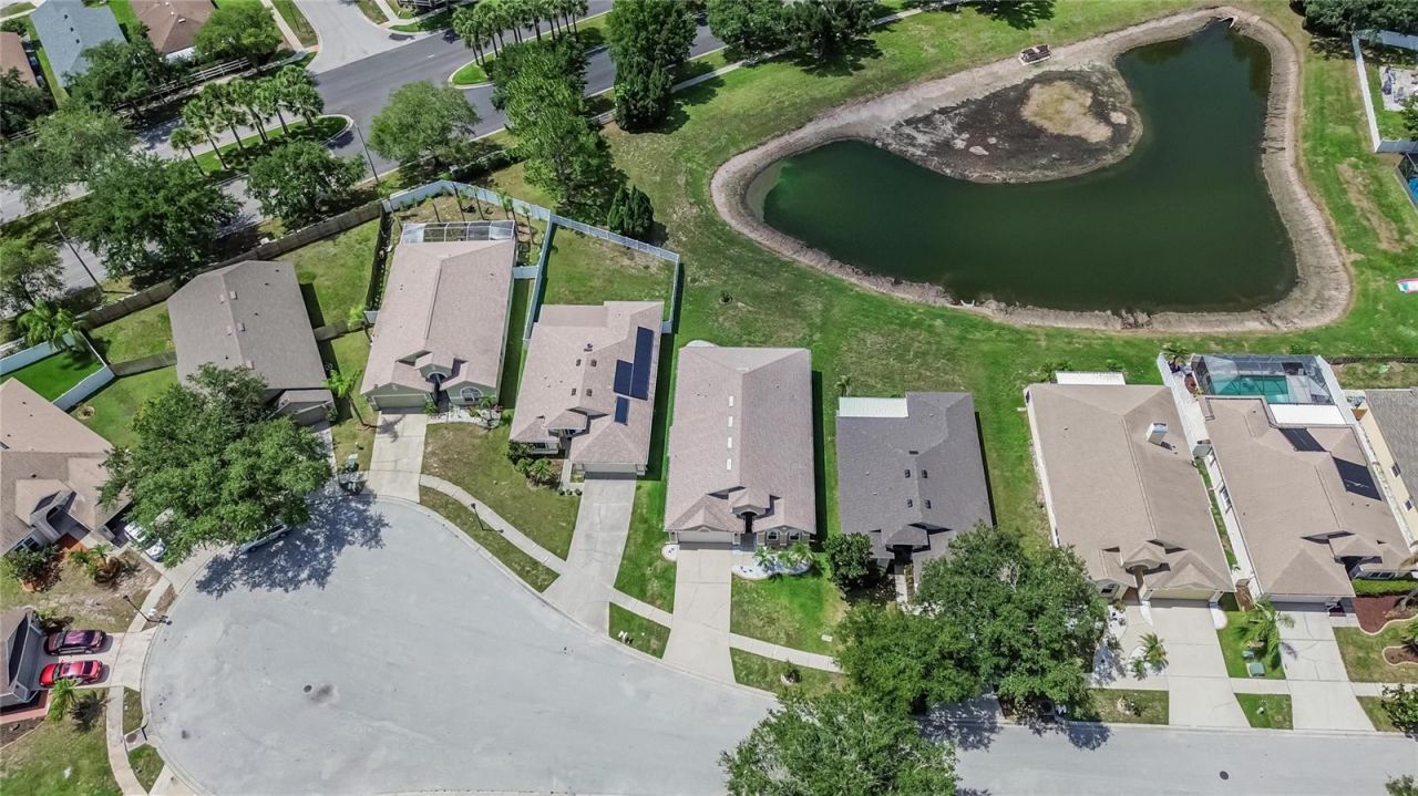 11115 Silver Dancer Drive, Riverview, FL 33579 Photo