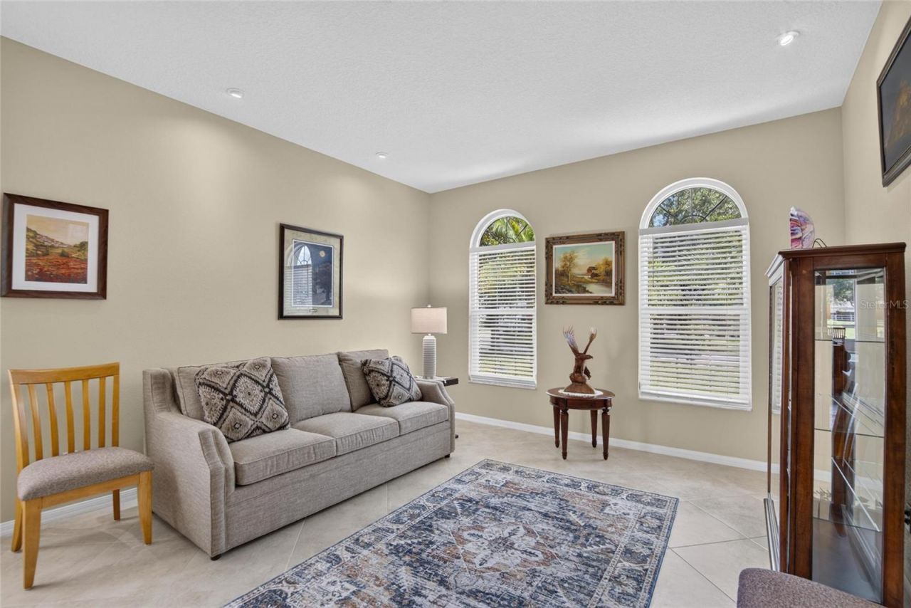 11115 Silver Dancer Drive, Riverview, FL 33579 Photo