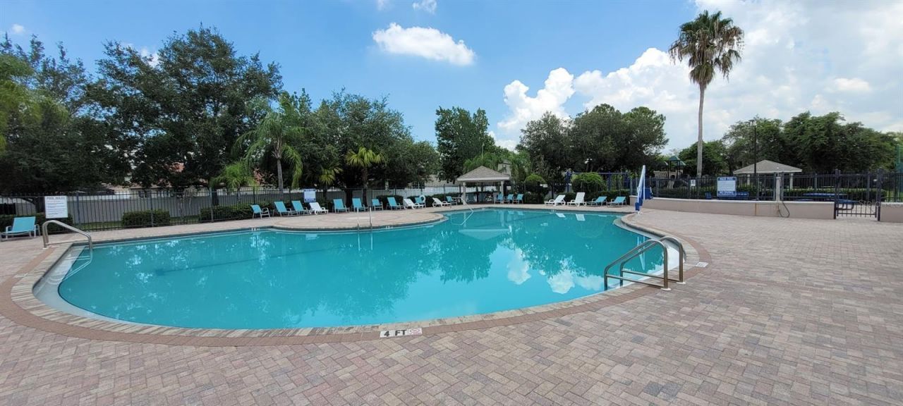 11115 Silver Dancer Drive, Riverview, FL 33579 Photo