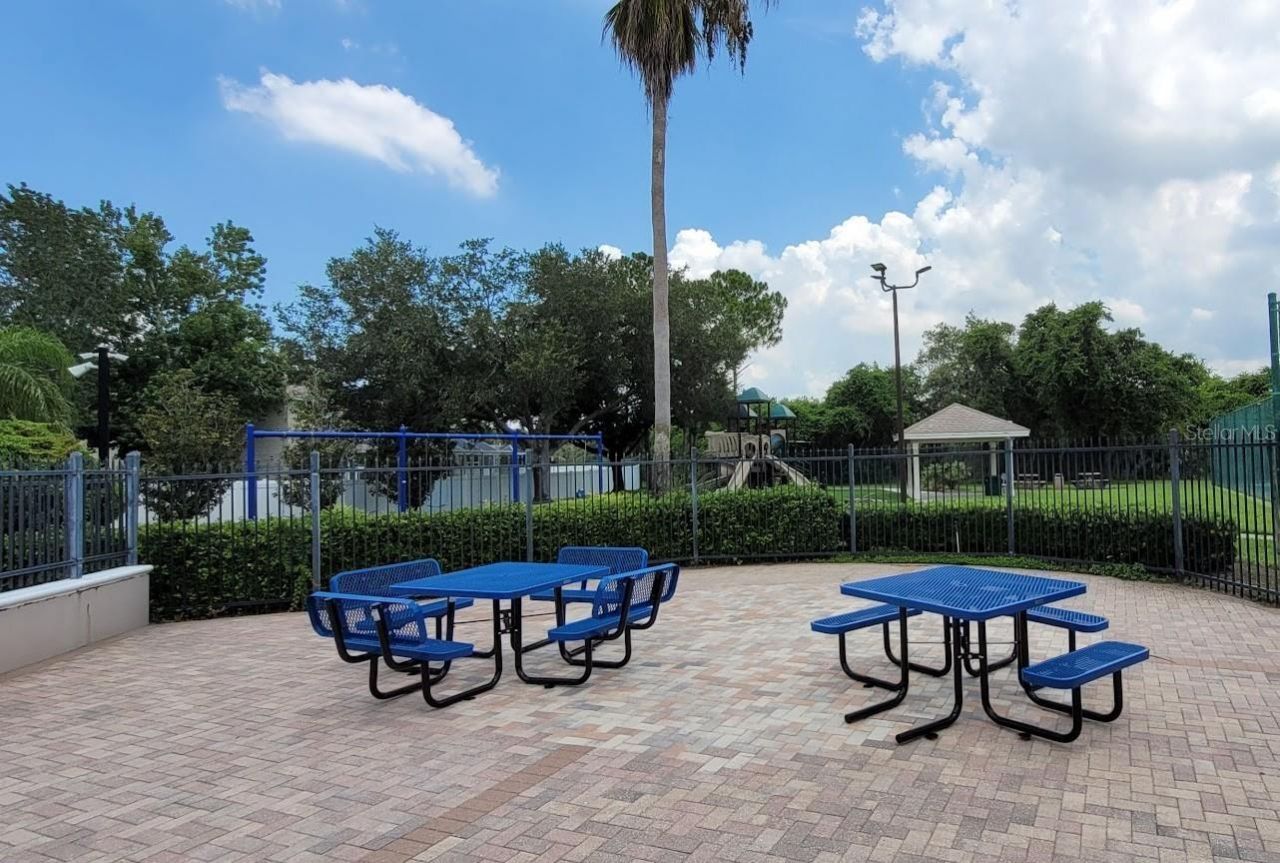 11115 Silver Dancer Drive, Riverview, FL 33579 Photo