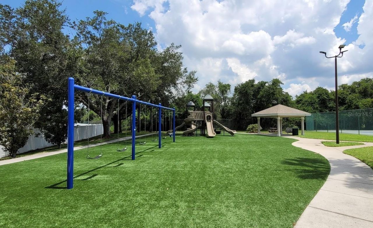 11115 Silver Dancer Drive, Riverview, FL 33579 Photo