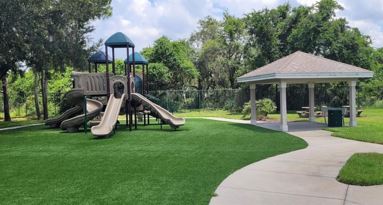 11115 Silver Dancer Drive, Riverview, FL 33579 Photo