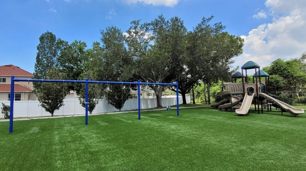 11115 Silver Dancer Drive, Riverview, FL 33579 Photo