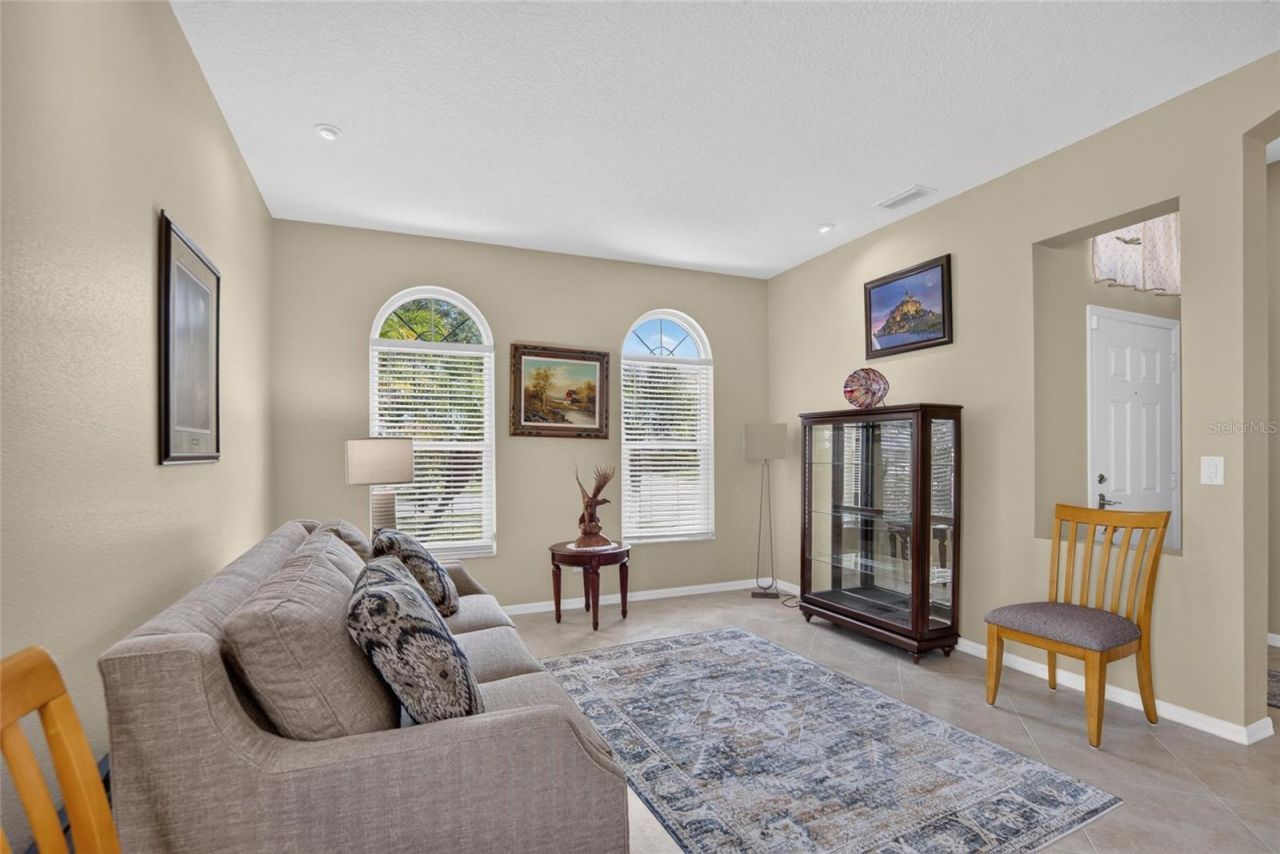 11115 Silver Dancer Drive, Riverview, FL 33579 Photo