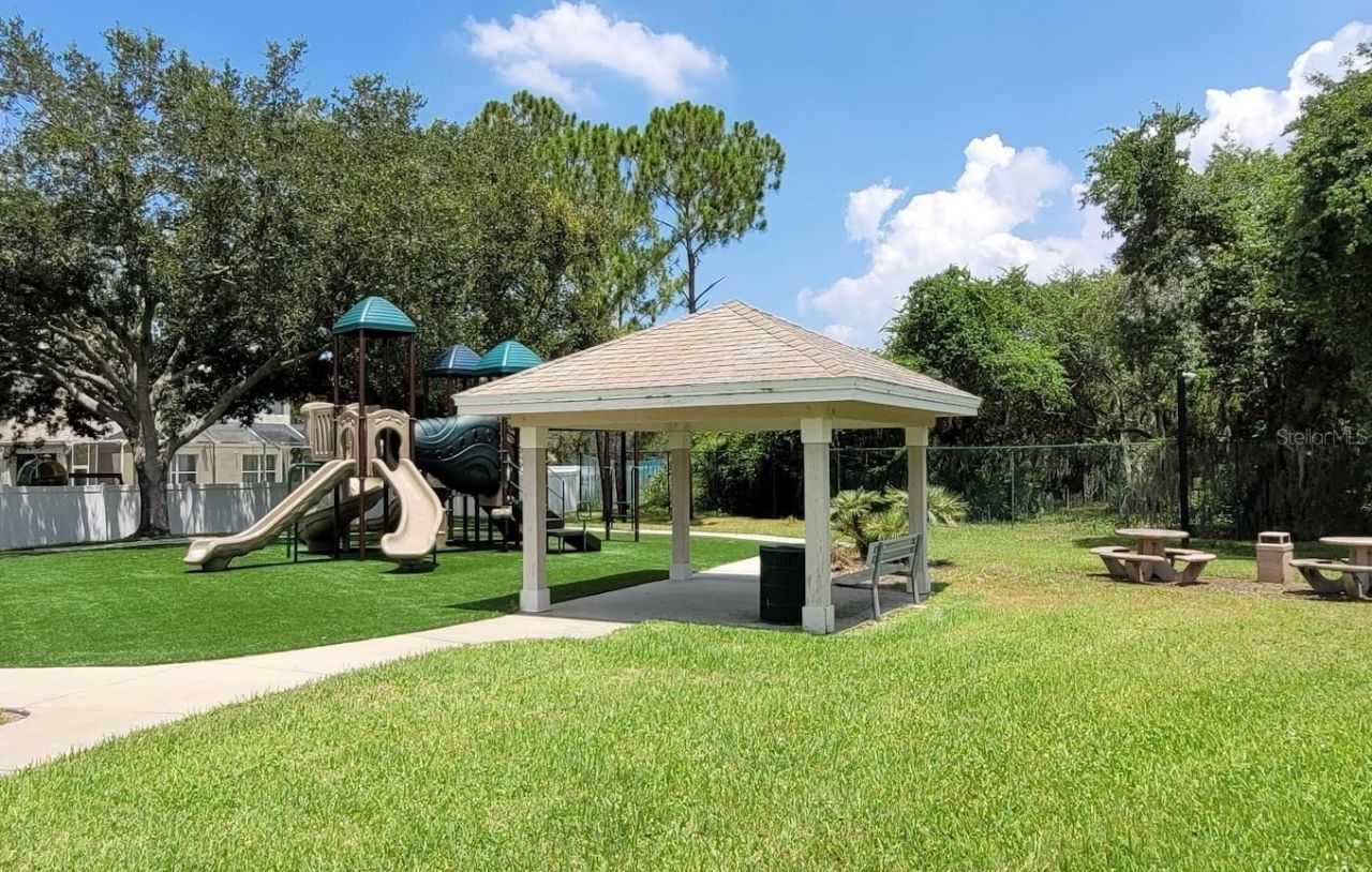 11115 Silver Dancer Drive, Riverview, FL 33579 Photo
