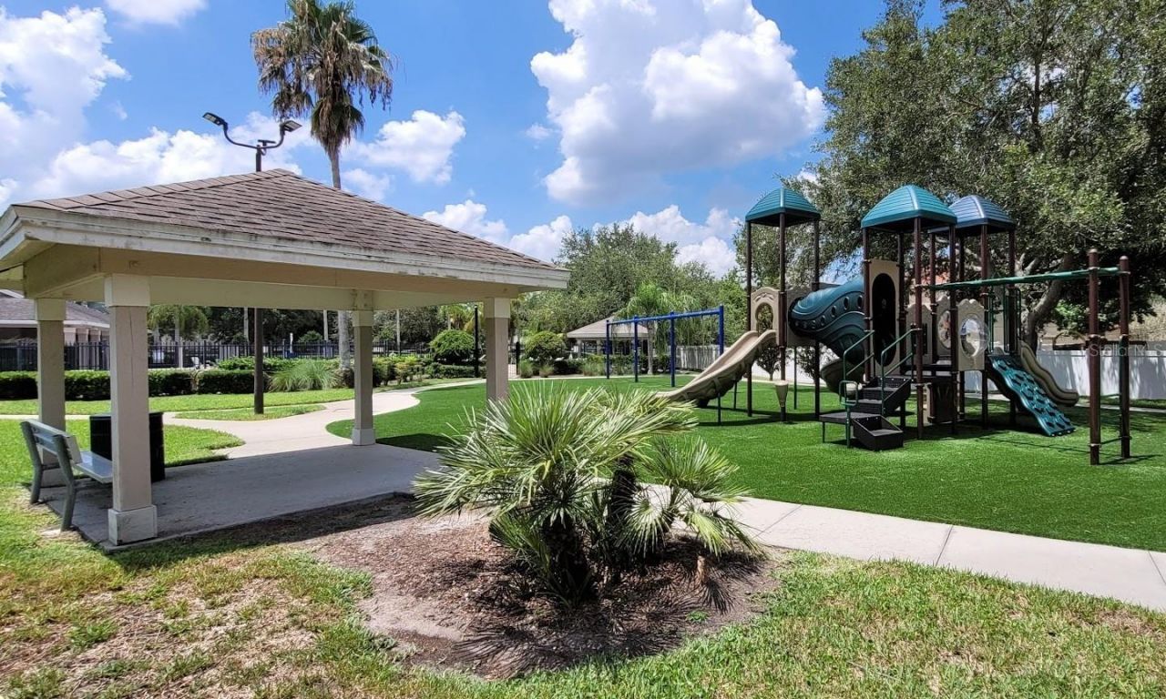 11115 Silver Dancer Drive, Riverview, FL 33579 Photo