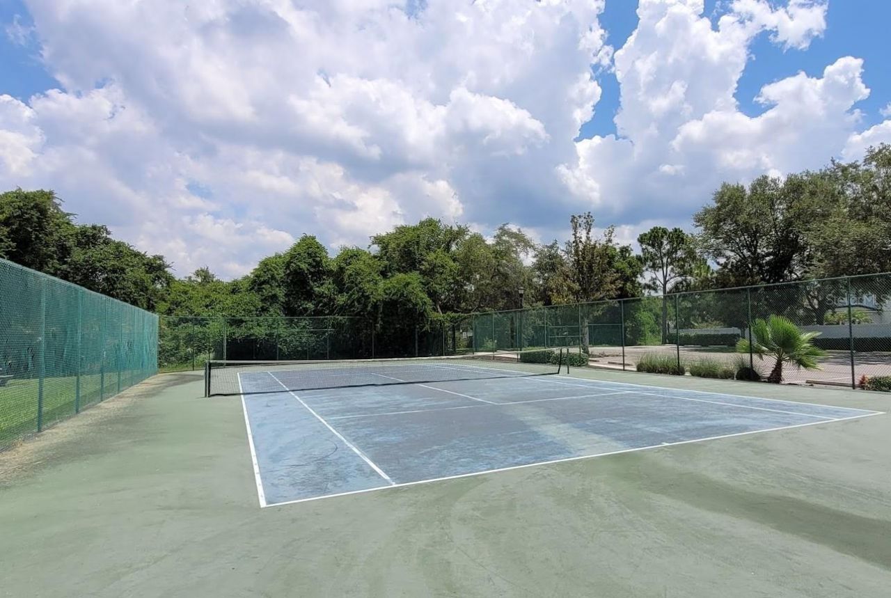 11115 Silver Dancer Drive, Riverview, FL 33579 Photo