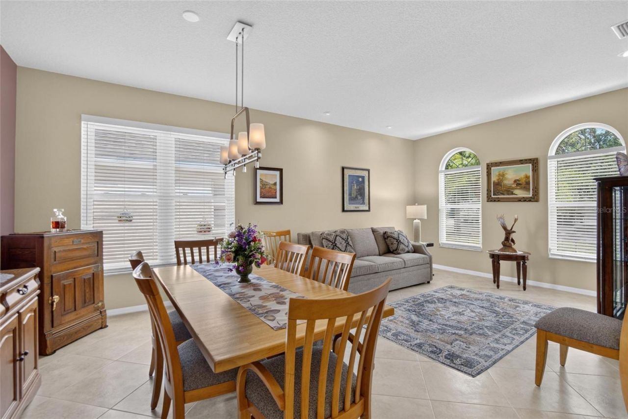 11115 Silver Dancer Drive, Riverview, FL 33579 Photo