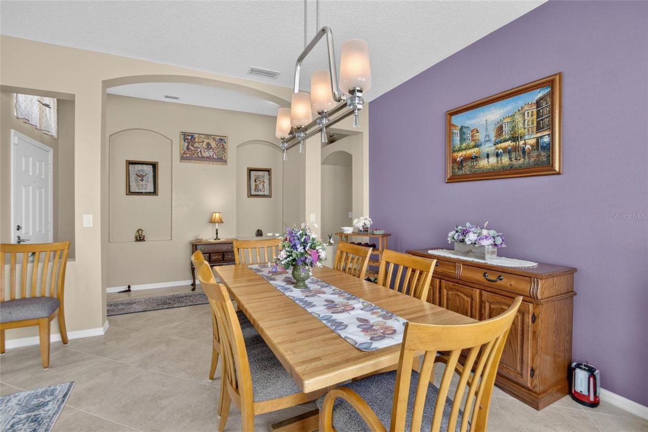 11115 Silver Dancer Drive, Riverview, FL 33579 Photo