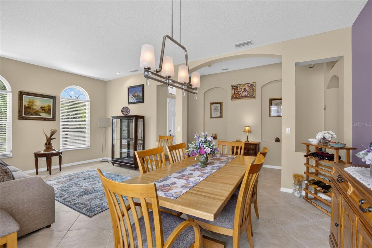 11115 Silver Dancer Drive, Riverview, FL 33579 Photo