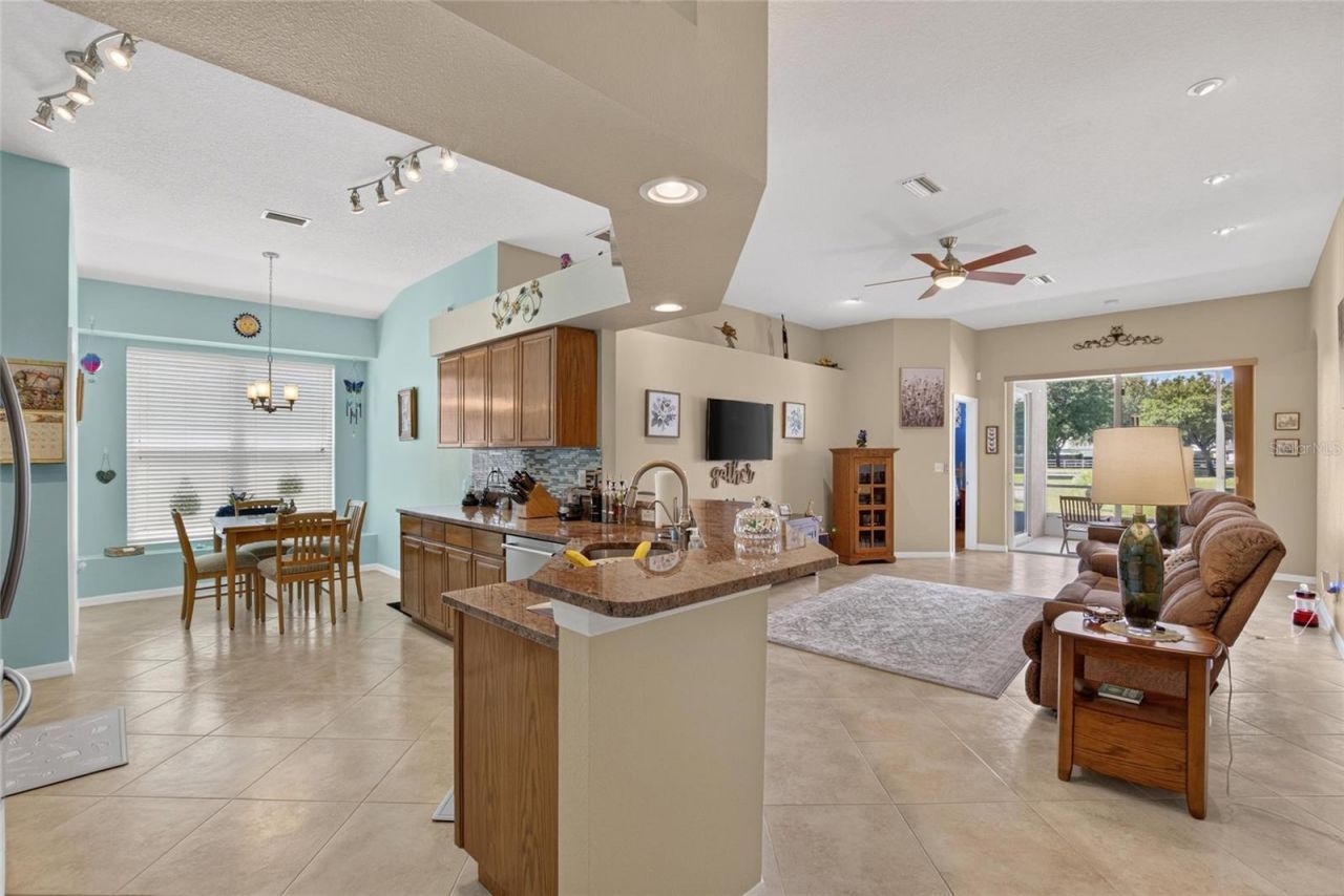 11115 Silver Dancer Drive, Riverview, FL 33579 Photo