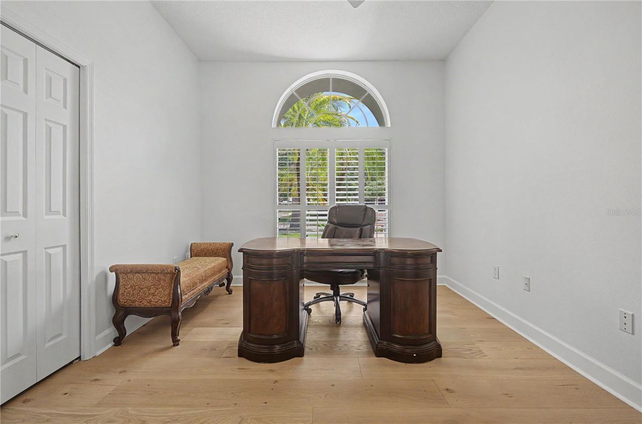 3692 Johnathon Avenue, Palm Harbor, FL 34685 Photo